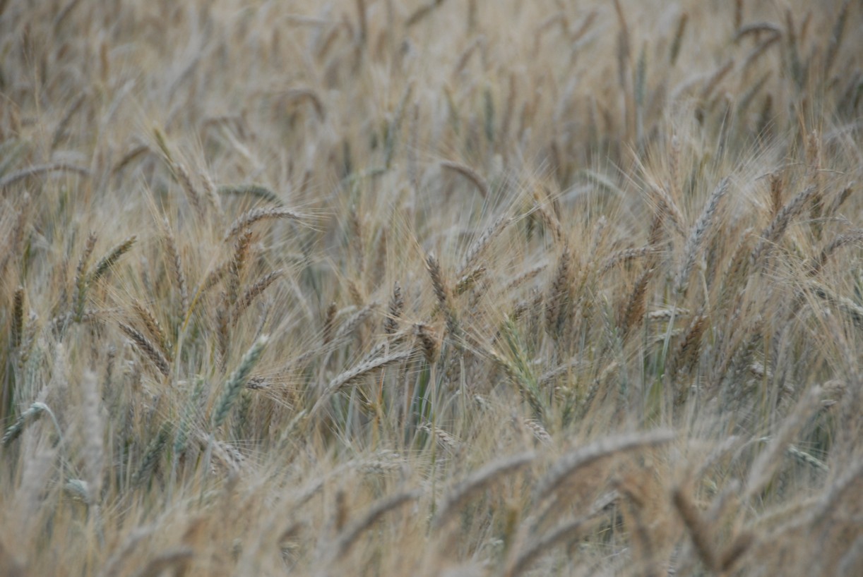 GEM tábory 2007   178